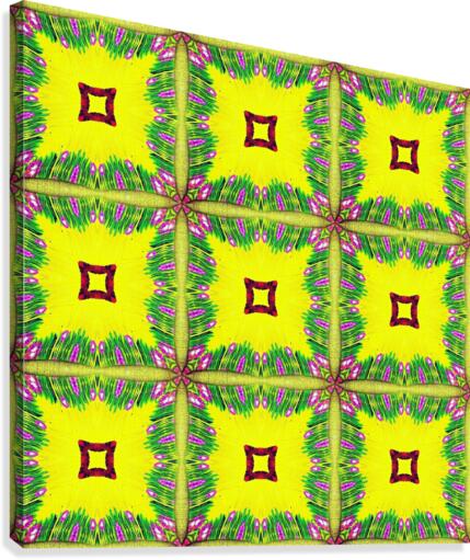 Squared Squares Canvas Print