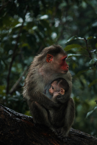 20220610144438  MG 8900