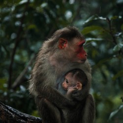 20220610144438  MG 8900