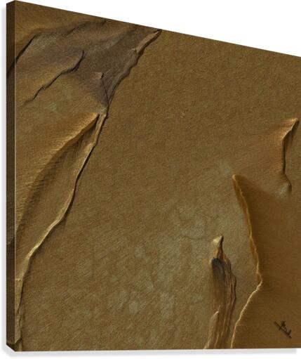 Sand mirage Canvas Print