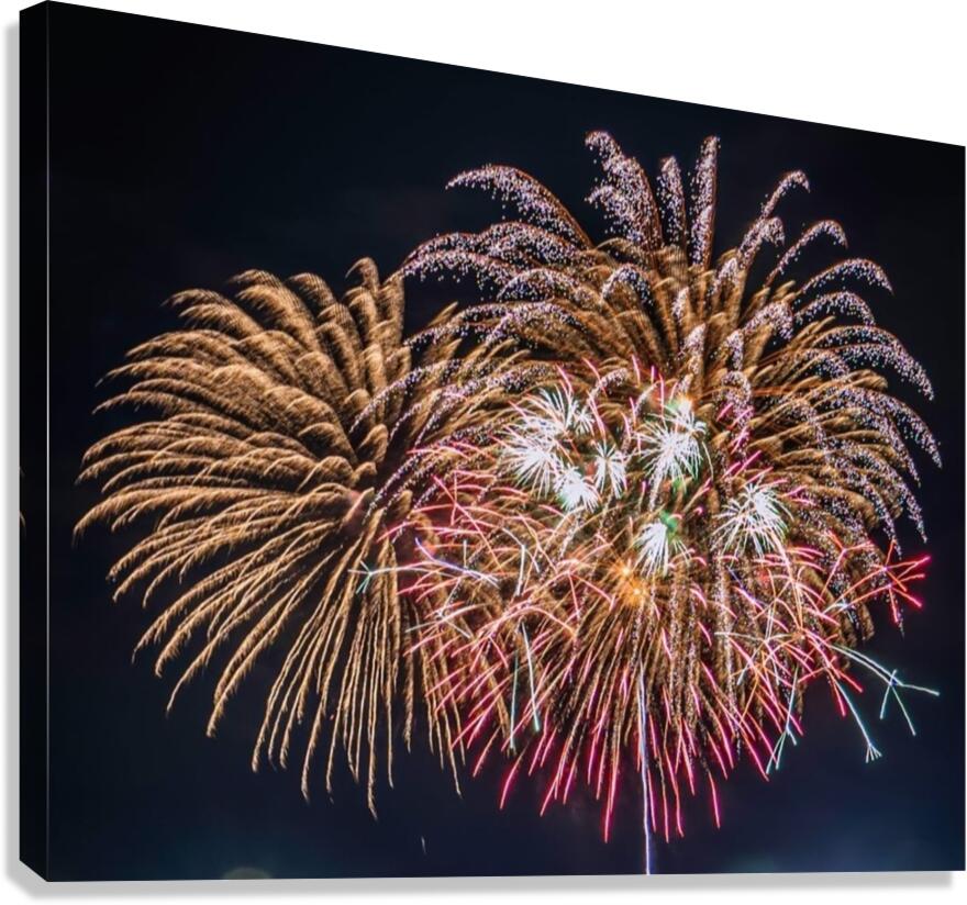 Balloonfest4 Canvas Print