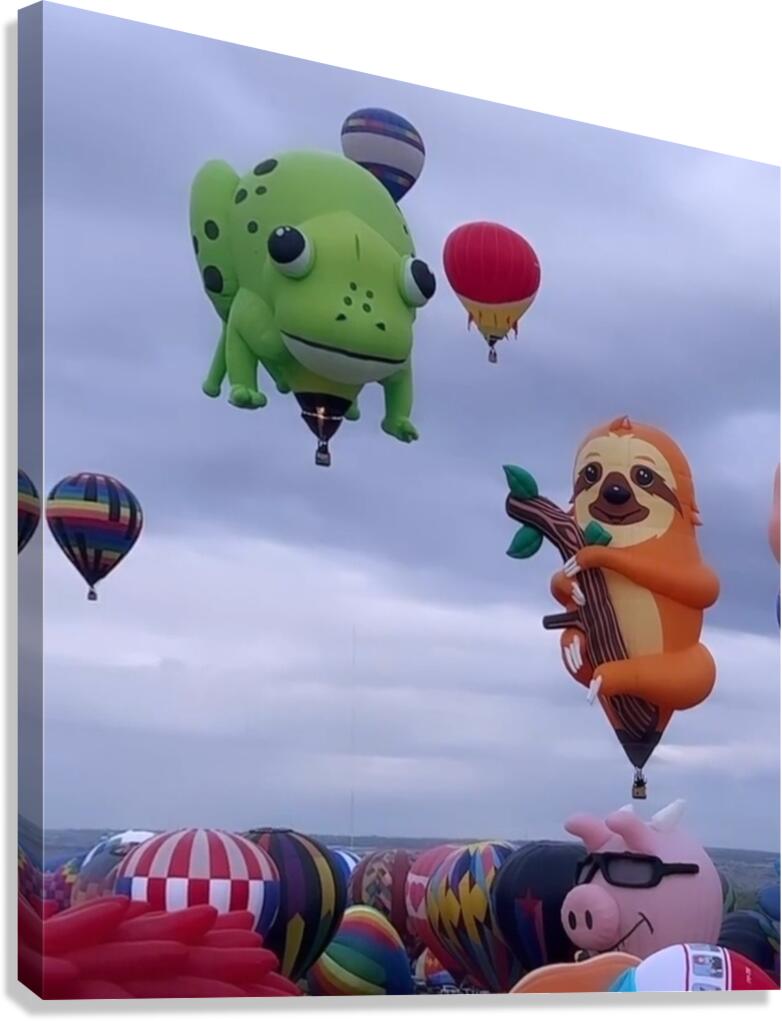 Balloonfest3 Canvas Print
