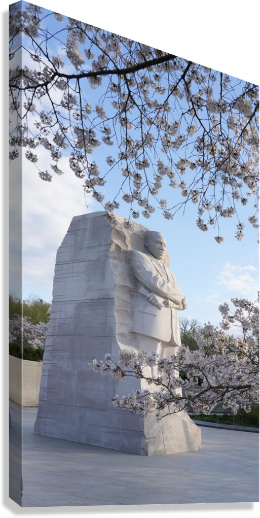 dc21 Canvas Print