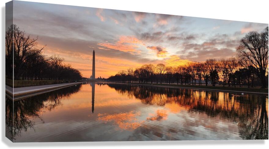 dc23 Canvas Print