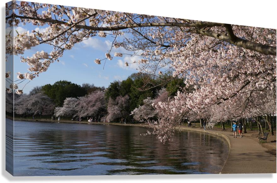 dc4 Canvas Print