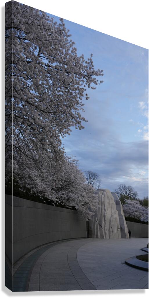 dc15 Canvas Print