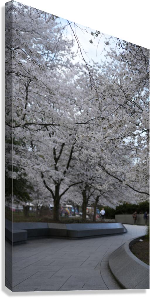 dc14 Canvas Print