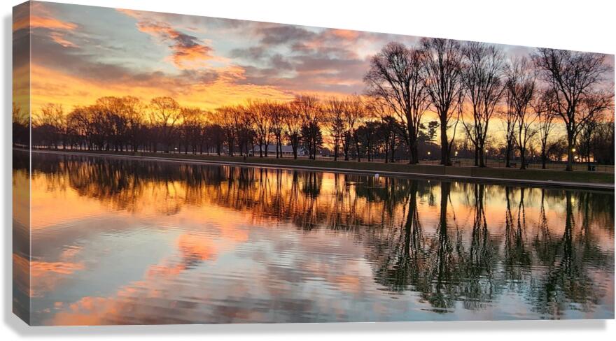 dc20 Canvas Print