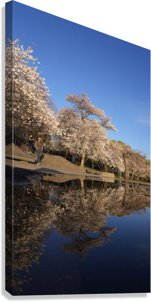 dc11 Canvas Print
