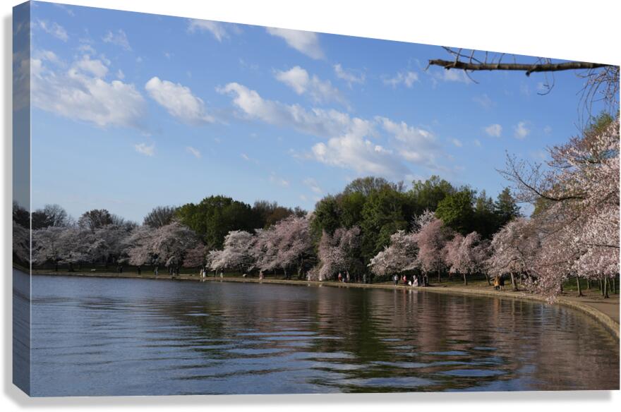 dc7 Canvas Print