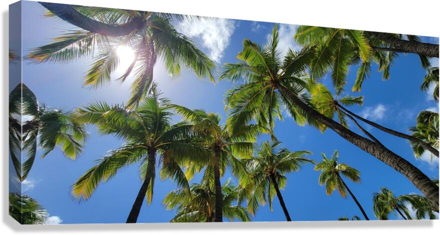 hawaii Canvas Print