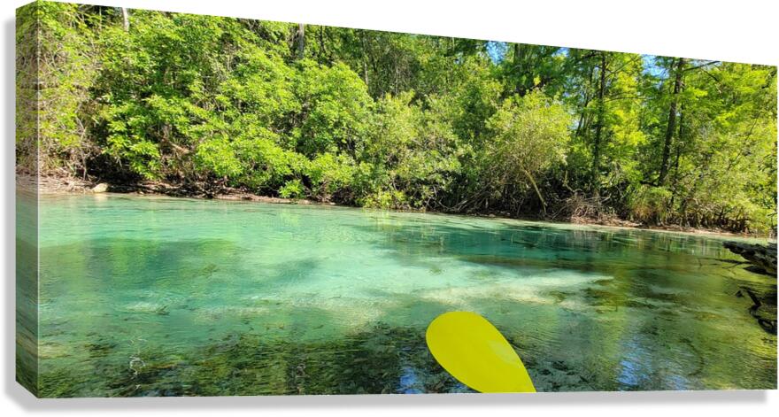 florida Canvas Print
