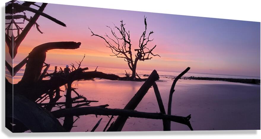 driftwood8 Canvas Print