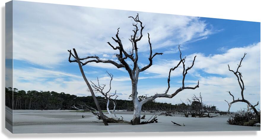 driftwood21 Canvas Print
