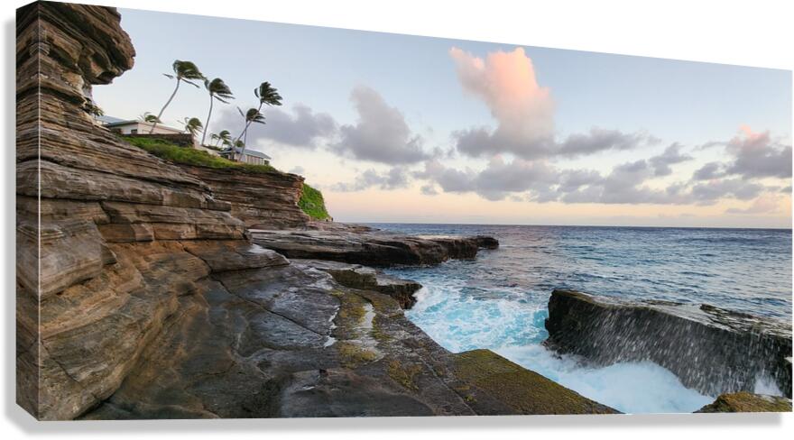 hawaii21 Canvas Print
