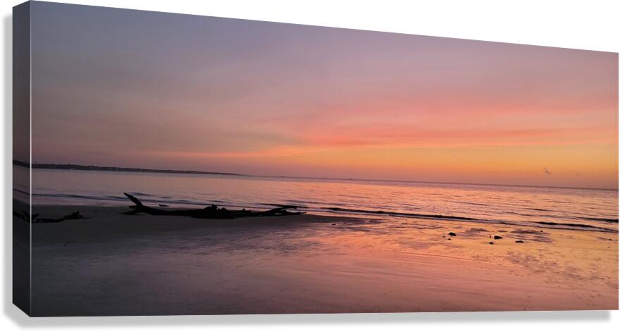 driftwood3 Canvas Print