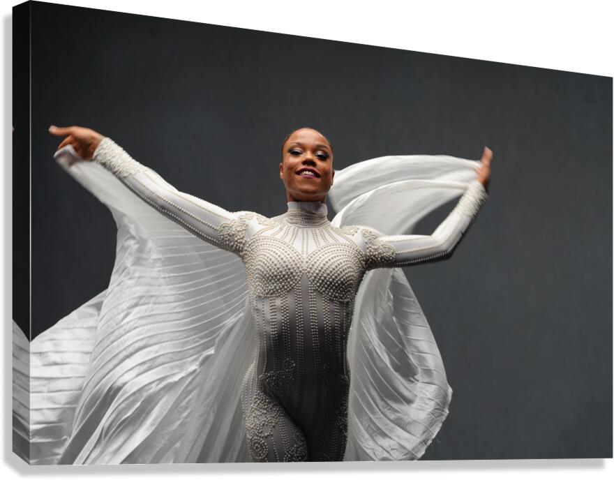 model25 Canvas Print