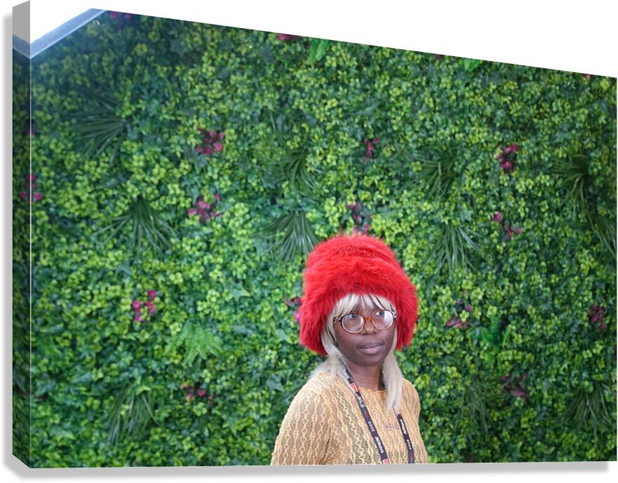 model28 Canvas Print