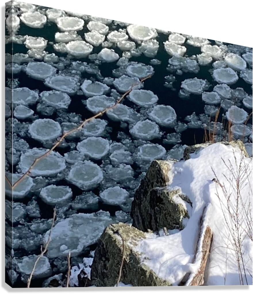 Pancakeice Canvas Print