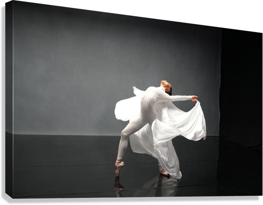 model20 Canvas Print