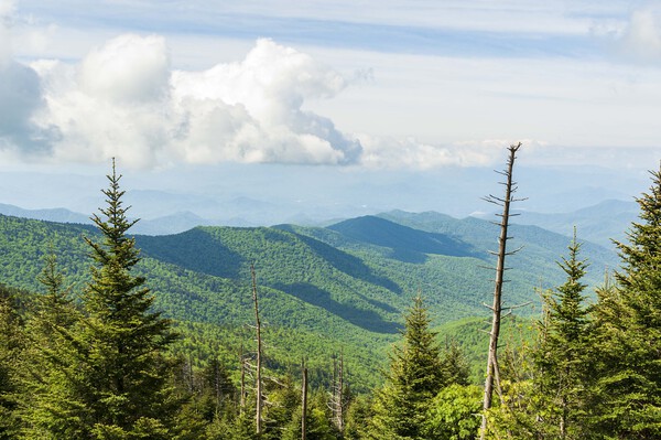 Great Smoky Mountains by Barry Fowler
