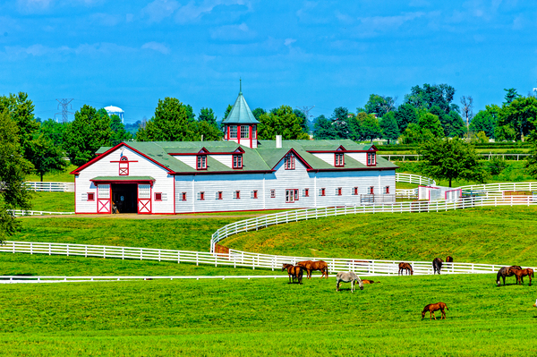 Calumet Farm in Lexington Kentucky by Barry Fowler
