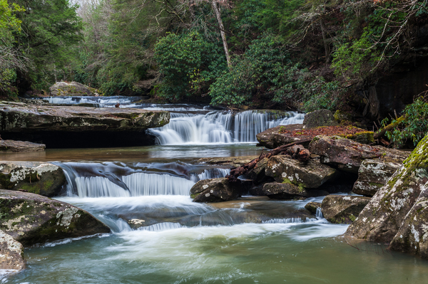 Bark Camp Creek Cascades by Barry Fowler