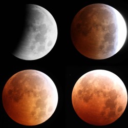 Lunar Eclipse
