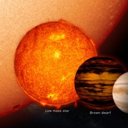New Brown Dwarf