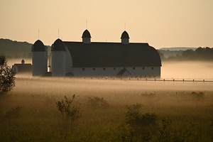 Foggy Barn