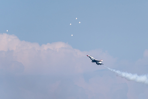Flock of Thunderbirds