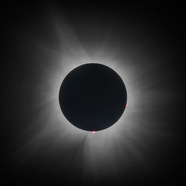 Totality: 2024 by Matthew Lawrence