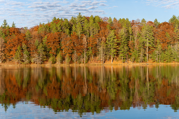 Autumn Reflection by Matthew Lawrence