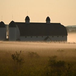 Foggy Barn