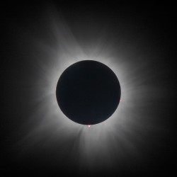 Totality: 2024
