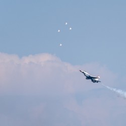 Flock of Thunderbirds