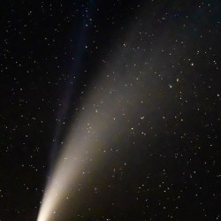 Neowise