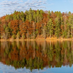 Autumn Reflection
