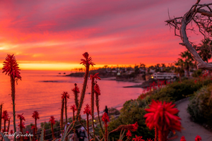 Laguna Beach 
