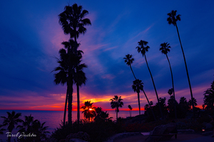 Laguna Beach California 