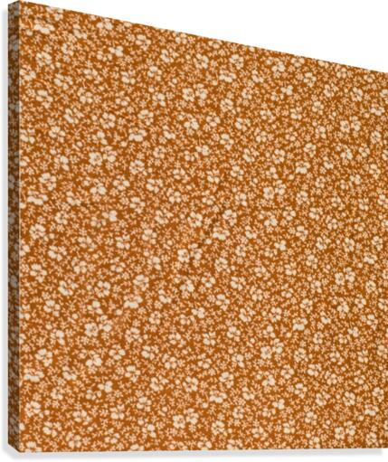 Daisy - Brown Canvas Print
