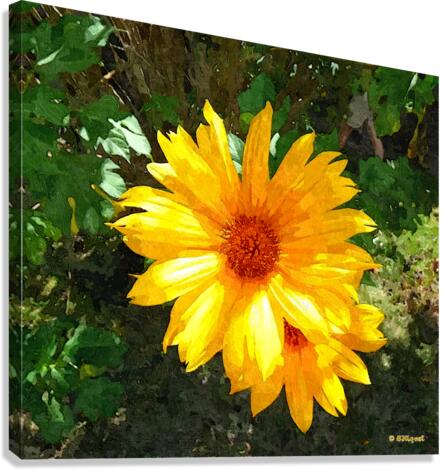Yellow Flower 2 Canvas Print