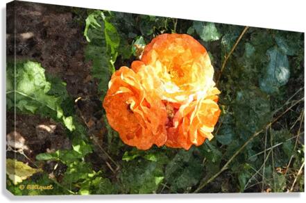 Orange Flower Canvas Print
