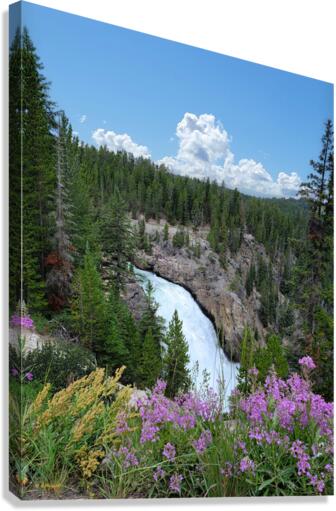 Yellowstone Upperfalls 2 Canvas Print