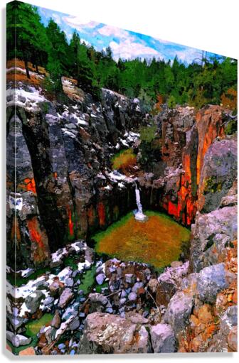 Sycamore Falls Canvas Print