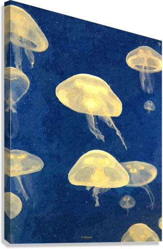JellyFish Canvas Print