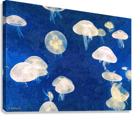 Jellyfish 2 Canvas Print