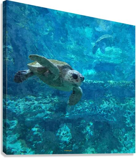 Sea Turtle Canvas Print