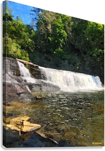 Hooker Falls Canvas Print