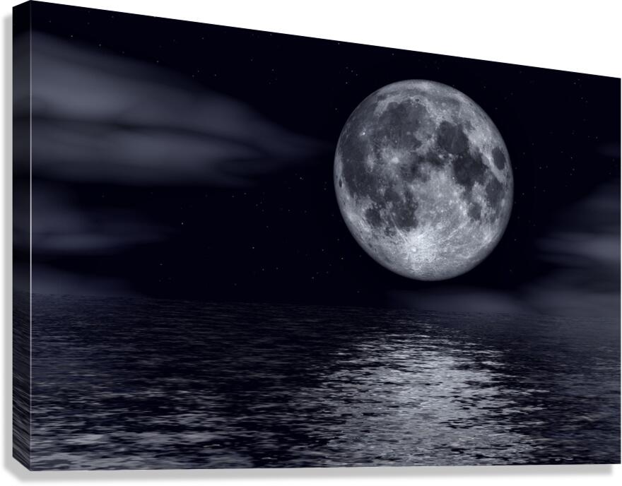 Full Moon Night Canvas Print